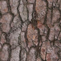 Seamless Bark 0001